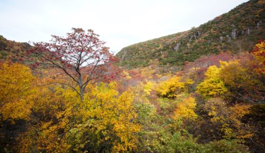 秋におすすめ！紅葉を楽しめる山